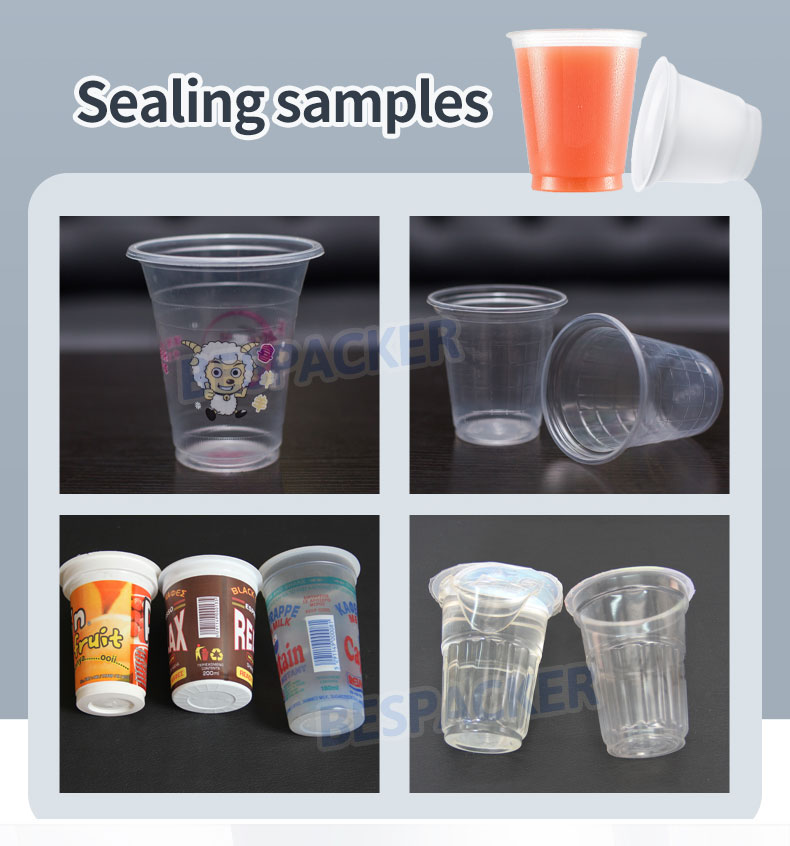 Bespacker Packaging Machinery Equipment Co., Ltd.