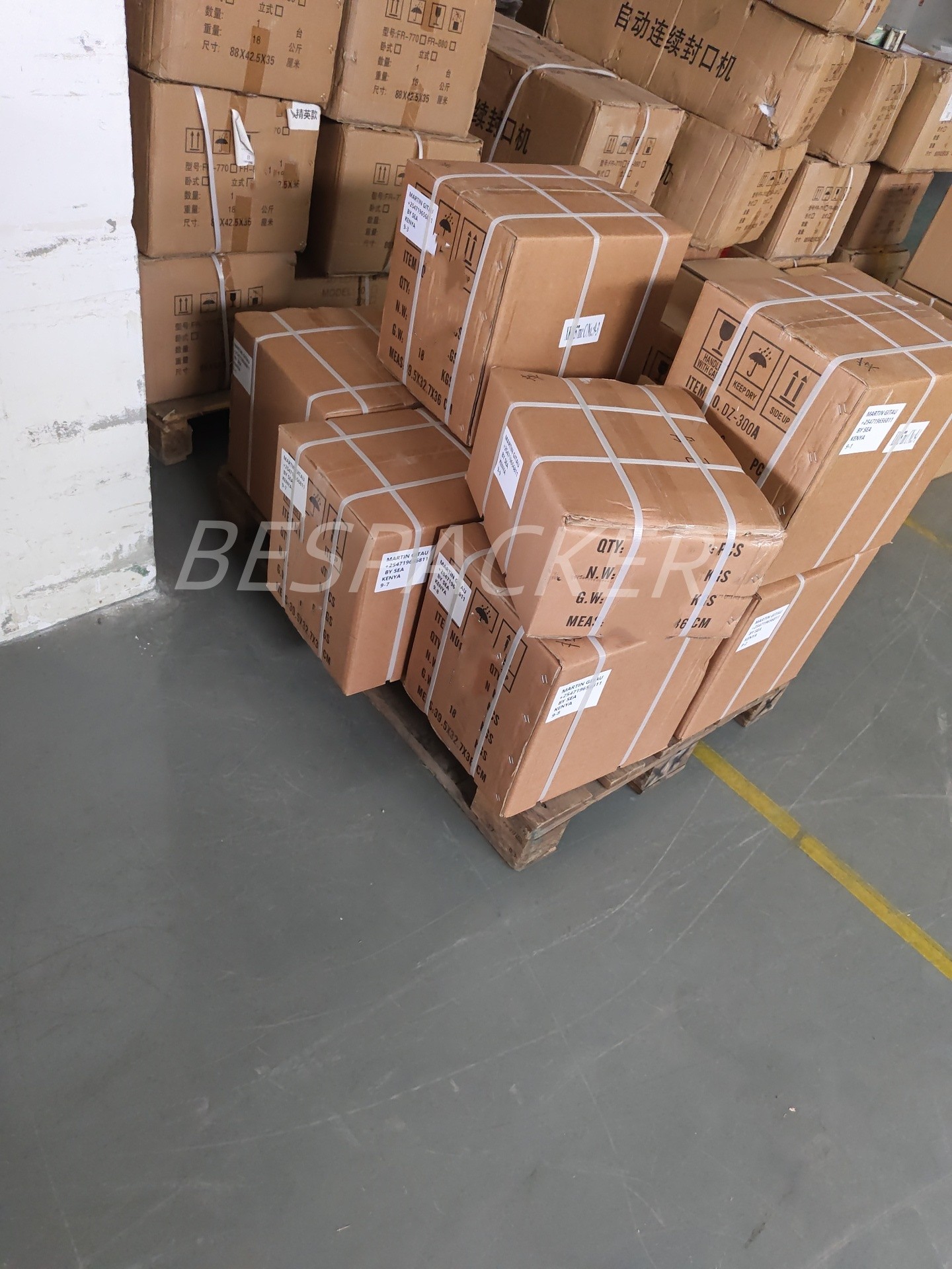Bespacker Packaging Machinery Equipment Co., Ltd.