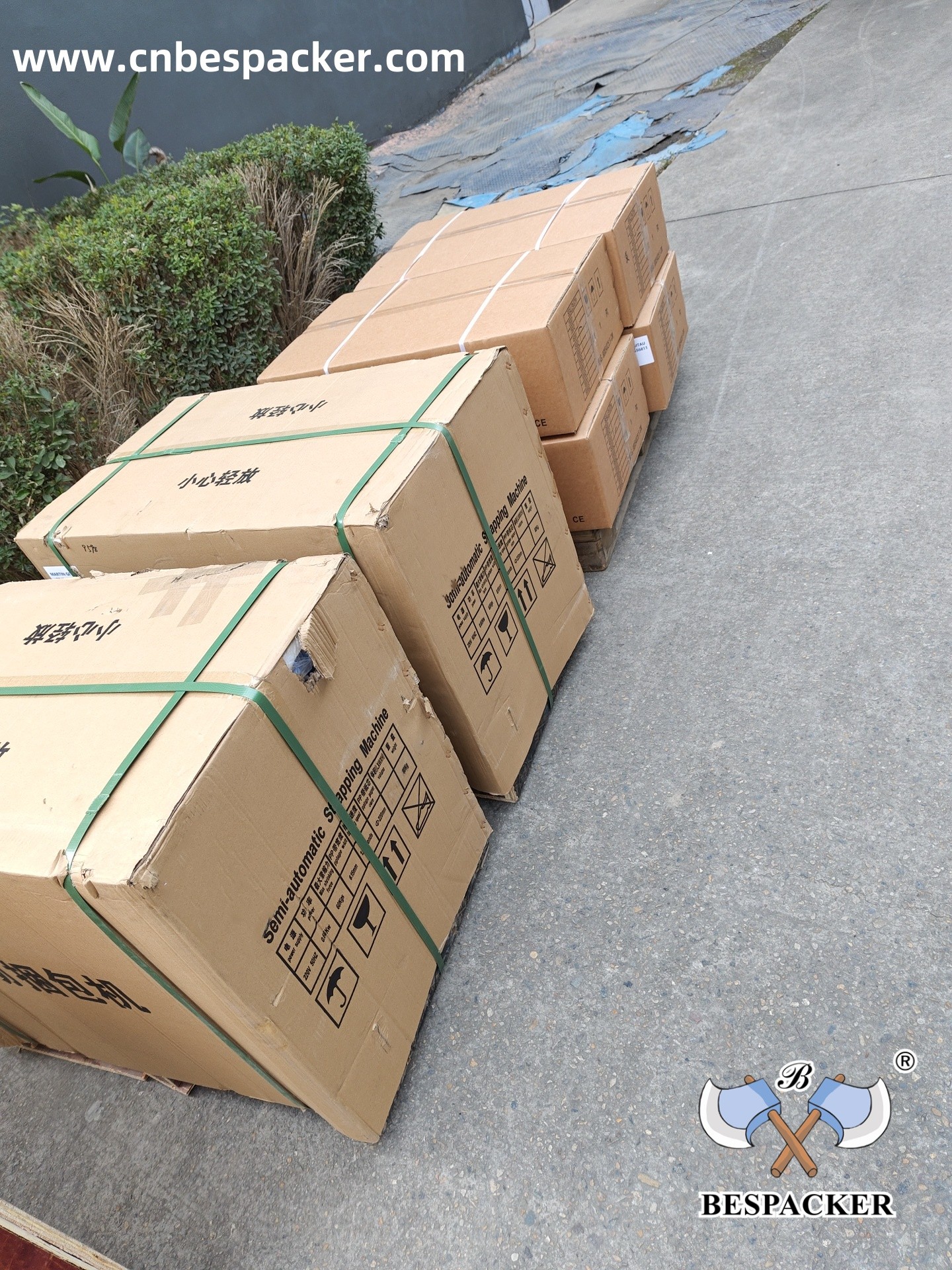 Bespacker Packaging Machinery Equipment Co., Ltd.