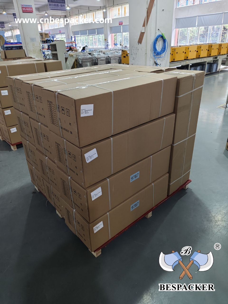 Bespacker Packaging Machinery Equipment Co., Ltd.