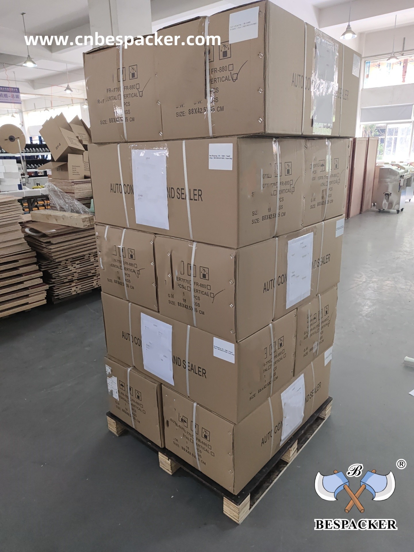 Bespacker Packaging Machinery Equipment Co., Ltd.