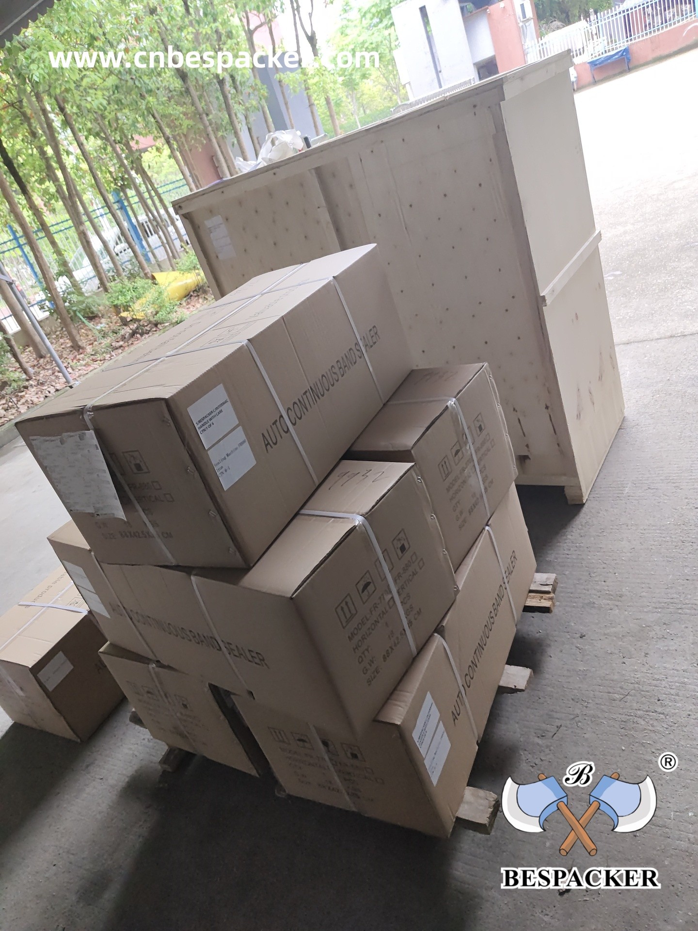 Bespacker Packaging Machinery Equipment Co., Ltd.