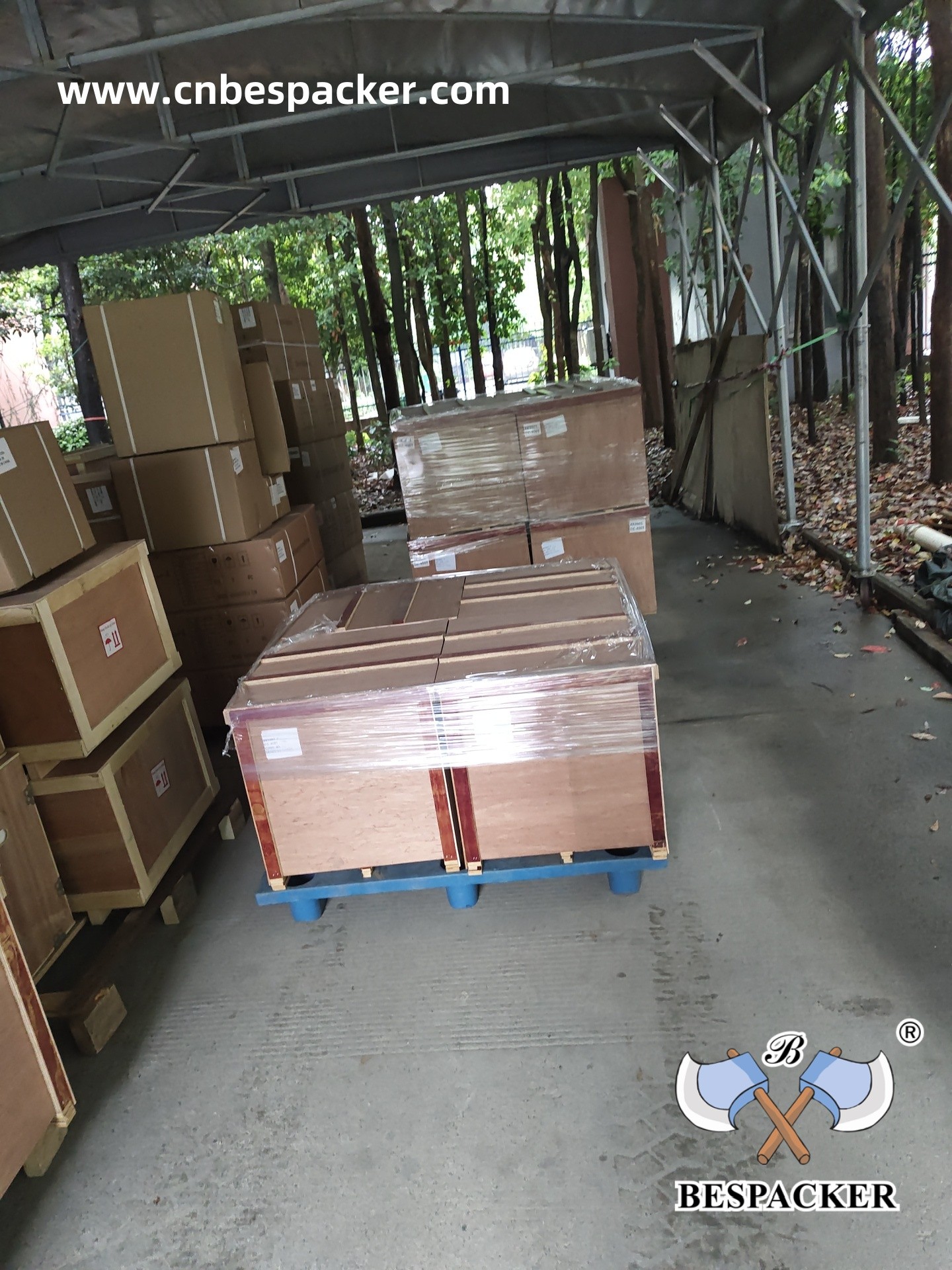 Bespacker Packaging Machinery Equipment Co., Ltd.