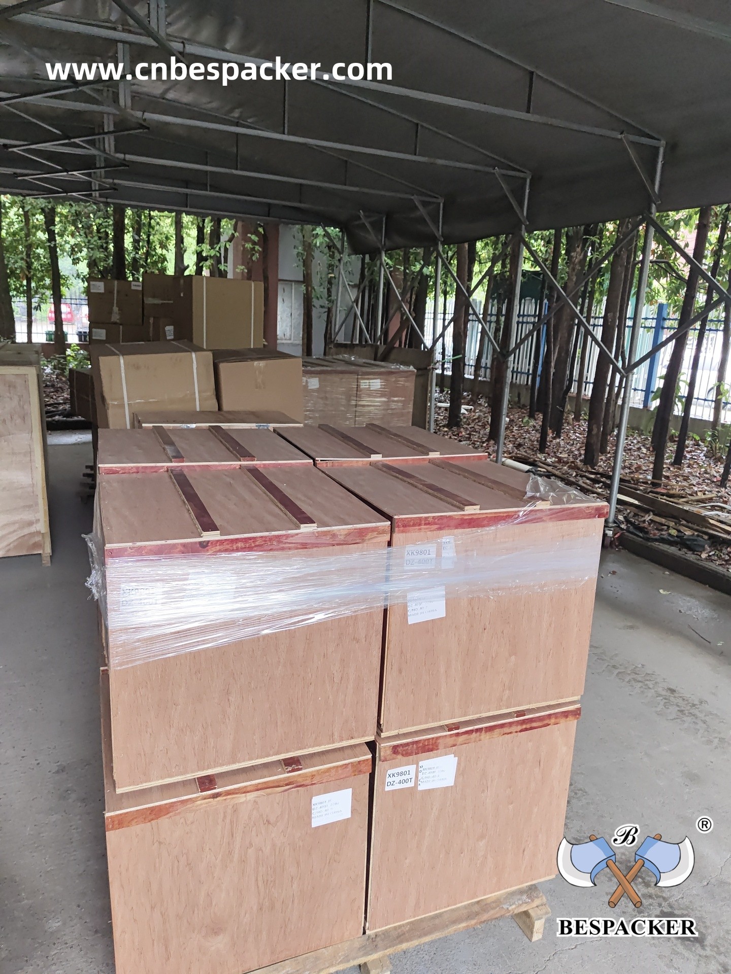 Bespacker Packaging Machinery Equipment Co., Ltd.